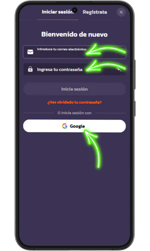 Formulario de credenciales y acceso con Google en Coolzino